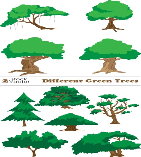 تصميم اشجار خضراء منوعه Different Green Trees