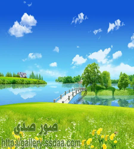 تصميم مروج خضراء على الماء دمج ابداعي ملف مفتوح psd فوتوشوب تصميم مروج خضراء على الماء دمج ابداعي ملف مفتوح psd فوتوشوب تحميل مباشر مجاني