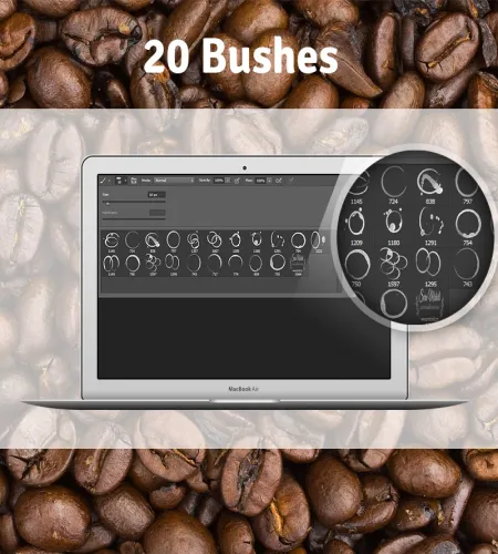 تحميل وتنزيل فرش فوتوشوب القهوى حبات البن Coffee Stain Free Brushes تحميل وتنزيل فرش فوتوشوب القهوى حبات البن Coffee Stain Free Brushes