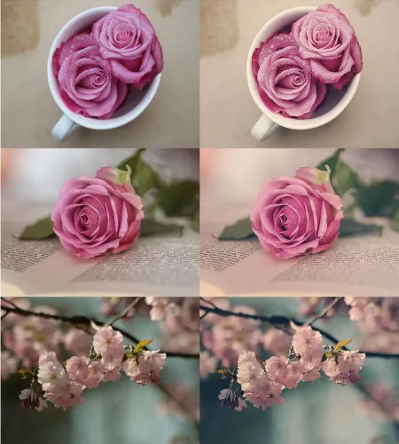 تحميل اكشن فوتوشوب الزهور Photoshop Blossom Actions تحميل اكشن فوتوشوب الزهور Photoshop Blossom Actions