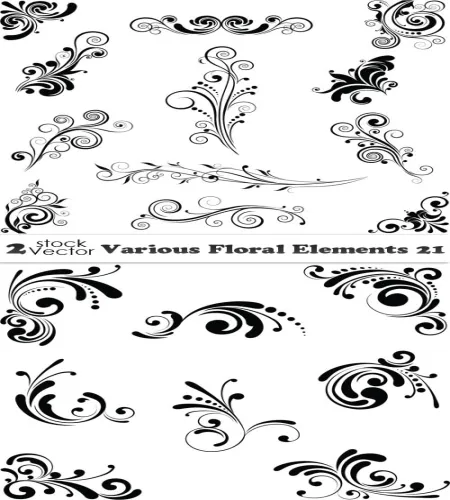 تحميل ورود زخارف فيكتور للتصميم Various Floral Elements 21