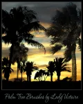 فرش اشجار النخيل Palm Tree Brushes تحميل مباشر