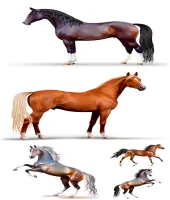 تصميم حصان رائع Horse Vector