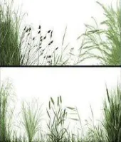 تحميل وتنزيل فر فوتوشوب العشب The Grasslands