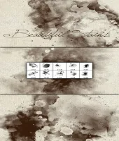 تحميل فرش فوتوشوب بقع رائعه Brushes - Beautiful Stains