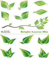 غصون و اوراق خضراء ملفات مفتوحه Vectors - Bright Leaves Mix