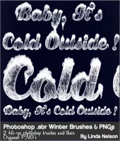 تحميل فرش فوتوشوب ثلج Winter Icy Photoshop Brushes