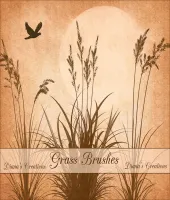 تحميل وتنزيل فرش فوتوشوب العشب Grass Brushes