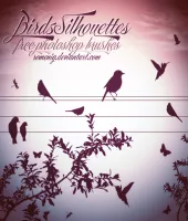 فرش فوتوشوب طيور Birds Silhouettes brushes