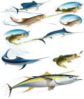 تصميم فيكتور اسماك كبيره Big Fish - 9