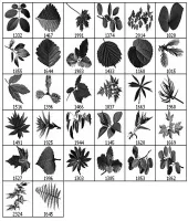 تحميل وتنزيل فرش فوتوشوب اوراق الشجر Leaf Brushes