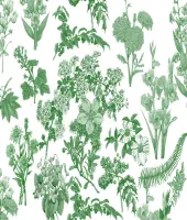 تحميل وتنزيل فرش الفوتوشوب النباتات Flora Brushes
